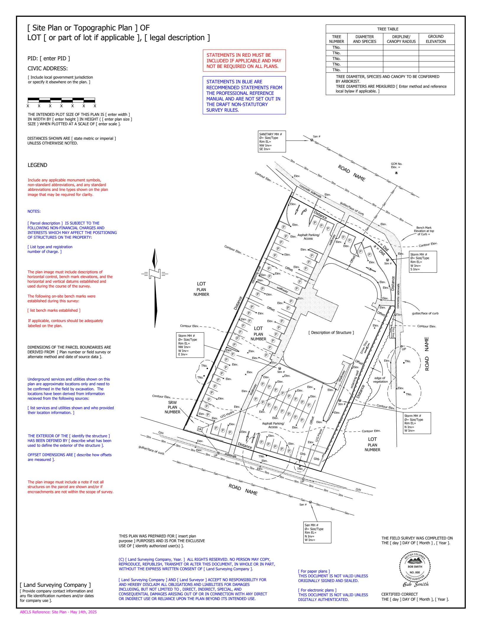 Topographic Survey Plan Example